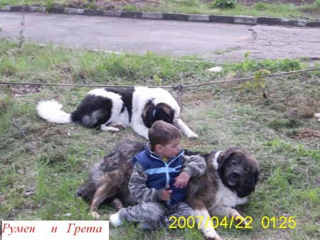Прикачена снимка