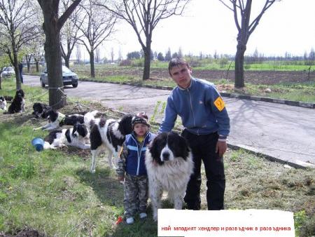 Прикачена снимка