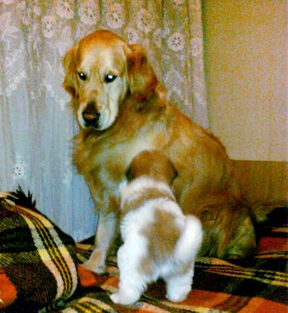 Прикачена снимка