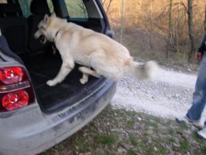 Прикачена снимка