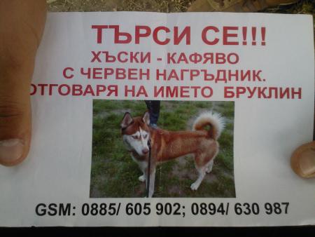 Прикачена снимка