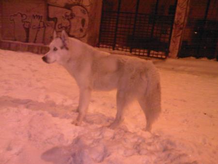 Прикачена снимка