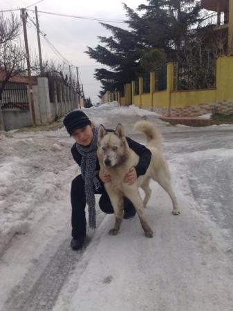 Прикачена снимка