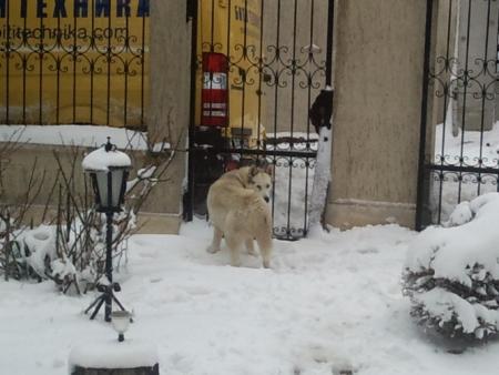 Прикачена снимка