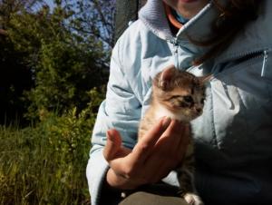 Прикачена снимка