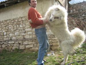 Прикачена снимка