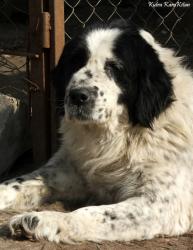 Прикачена снимка