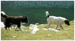 Прикачена снимка