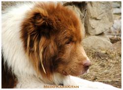 Прикачена снимка