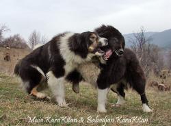 Прикачена снимка