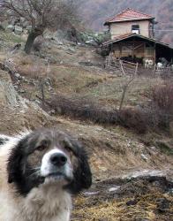 Прикачена снимка