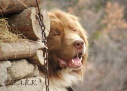 Прикачена снимка