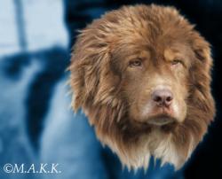 Прикачена снимка