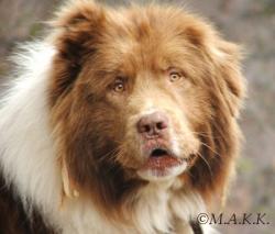 Прикачена снимка