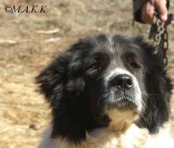 Прикачена снимка