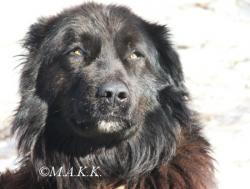 Прикачена снимка