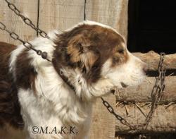 Прикачена снимка