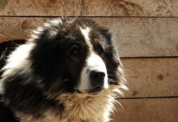 Прикачена снимка