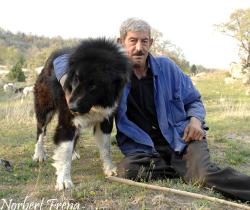 Прикачена снимка