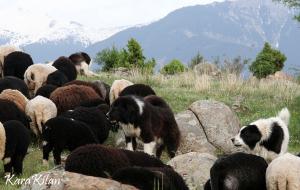 Прикачена снимка