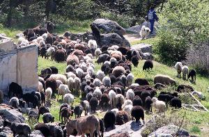 Прикачена снимка