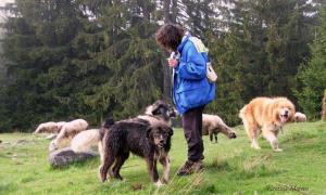 Прикачена снимка