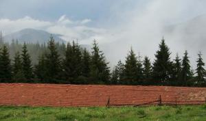 Прикачена снимка