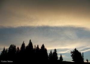 Прикачена снимка