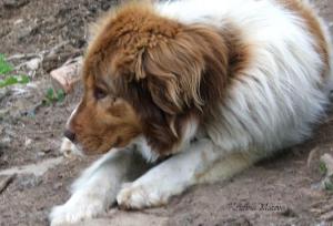 Прикачена снимка