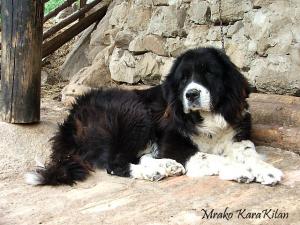 Прикачена снимка