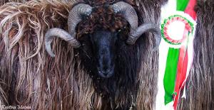 Прикачена снимка