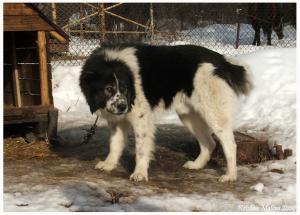 Прикачена снимка