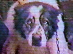 Прикачена снимка