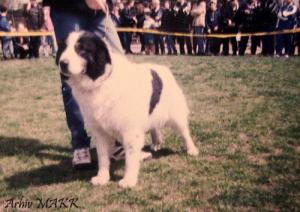 Прикачена снимка