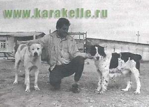 Прикачена снимка