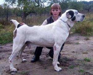 Прикачена снимка