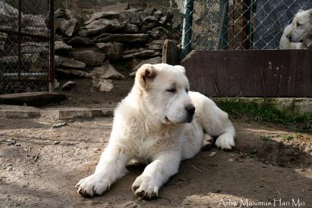 Прикачена снимка