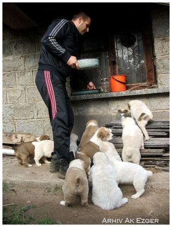 Прикачена снимка
