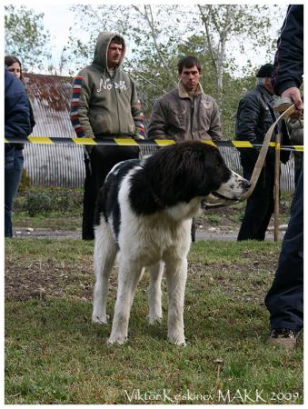 Прикачена снимка