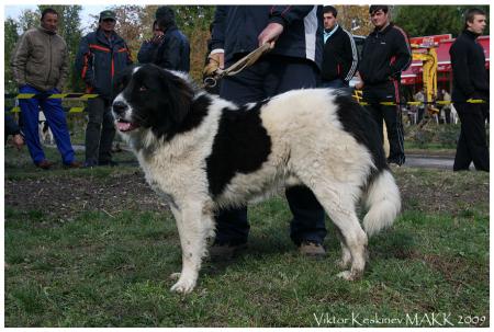 Прикачена снимка