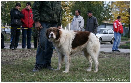 Прикачена снимка