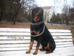 Прикачена снимка