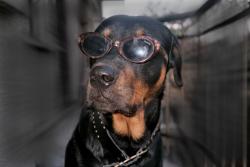 Прикачена снимка