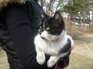 Прикачена снимка