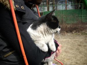Прикачена снимка