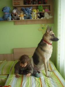 Прикачена снимка
