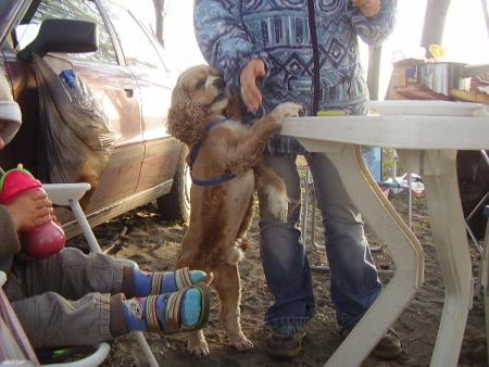 Прикачена снимка