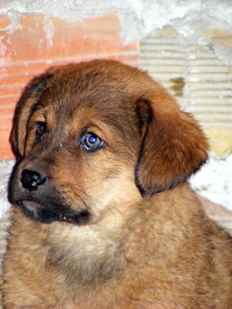 Прикачена снимка