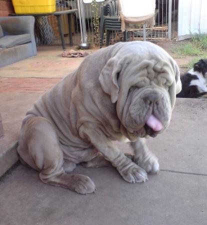 Прикачена снимка