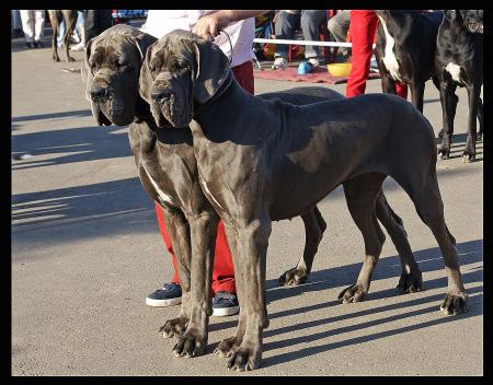 Прикачена снимка